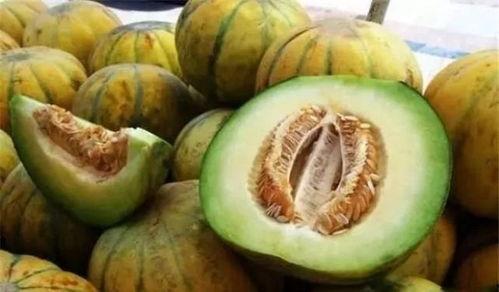 黄梅老佛吃瓜,一场别开生面的乡村盛宴