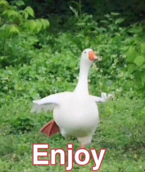 躺沙发上吃瓜,悠闲时光里的惬意生活