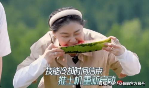 努力吃瓜完结侠,一场美食与侠义的奇幻之旅