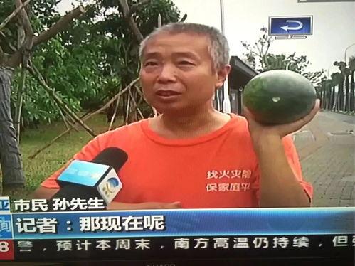 萧山吃瓜群众事件,一场网络舆论的风波与反思