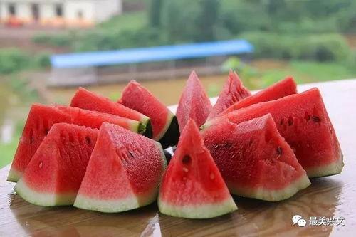 兴文县吃瓜,探寻地方特色美食之旅