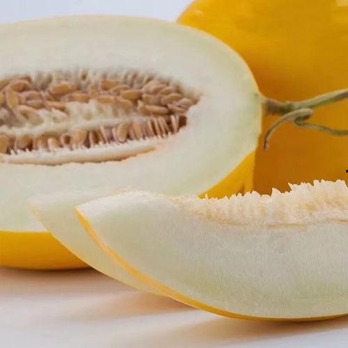 儿童吃冰糖蜜瓜,儿童品尝冰糖蜜瓜的欢乐时光