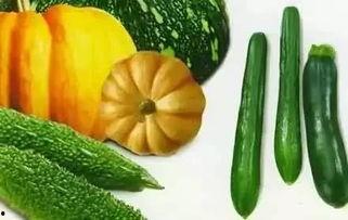 江枫吃瓜,揭秘娱乐圈幕后故事