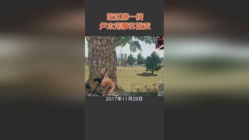 红河吃瓜事件始末,一场网络舆论的风暴与反思