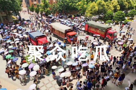 江苏高校吃瓜,揭秘校园热点事件背后的真相