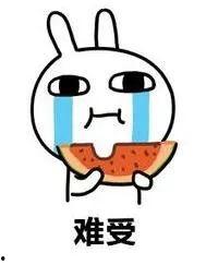 单身人士怎么吃瓜,如何轻松吃瓜不累心