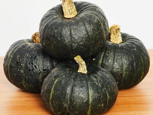 小孩吃葫芦瓜好吗,儿童健康饮食新选择