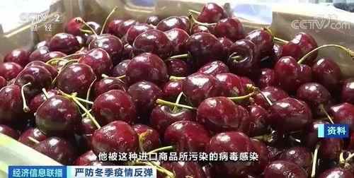 玫珑瓜和车厘子一起吃吗,玫珑瓜与车厘子搭配食用指南