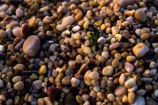 蓬莱海边吃瓜,夏日风情美食之旅